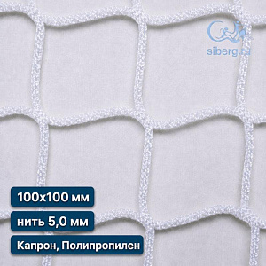 Защитная сетка на окна спортзала 100х100 мм 5 мм белая (капрон, полипропилен)